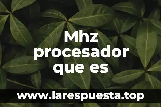 Qué es procesador de diapositivas electrónicas 7 Mhz procesador que es