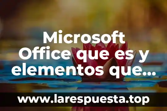Que es la cultura de elite yahoo 6 Microsoft Office que es y elementos que lo conforman