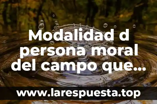 Modalidad d persona moral del campo que es