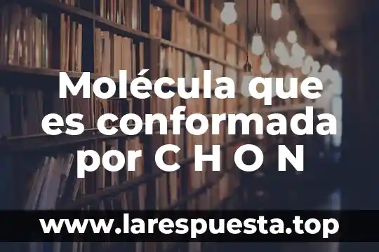 Qué es la molécula y por qué está formada 5 Molécula que es conformada por C H O N