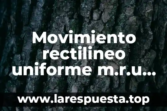 Qué es movimiento rectilíneo variado 4 Movimiento rectilineo uniforme m.r.u en fisica que es