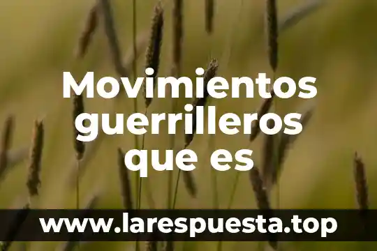 Movimientos guerrilleros que es
