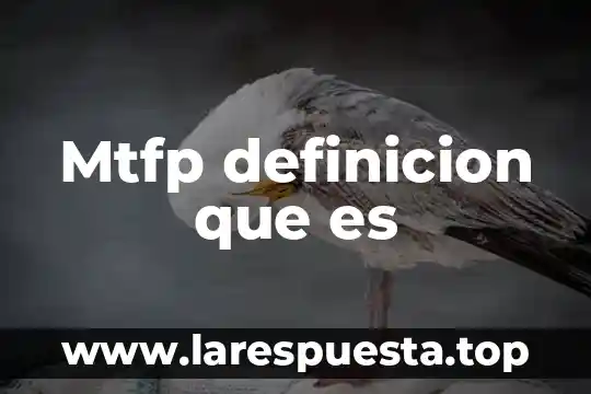 Mtfp definicion que es
