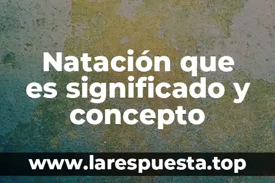 Natación que es significado y concepto