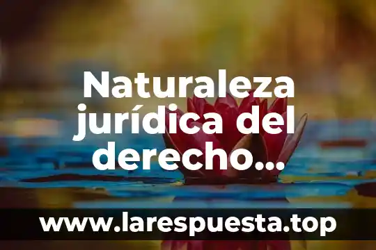 Que es comunidad mixta 5 Naturaleza jurídica del derecho financiero por qué es mixta