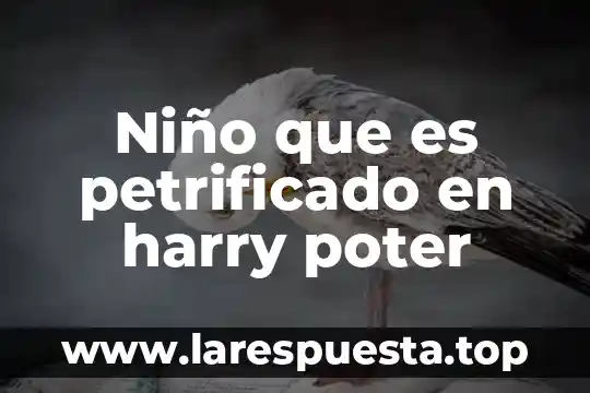Niño que es petrificado en harry poter