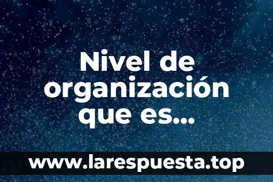 Que es nivel de dominio y diferencia nivel de pensamiento 5 Nivel de organizaci贸n que es denominado abi贸tico