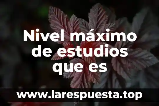 Que es un hombre hombria al maximo 5 Nivel máximo de estudios que es