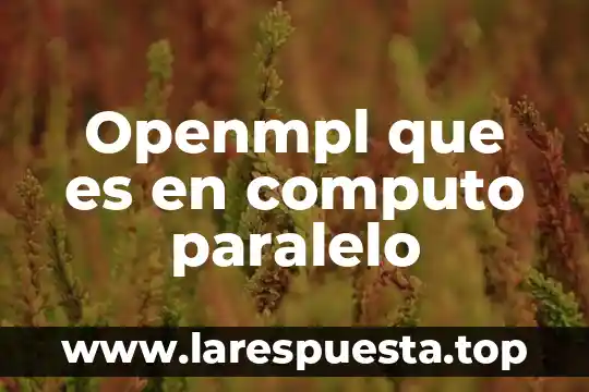 Que es equipo ergonomico de computo 3 Openmpl que es en computo paralelo
