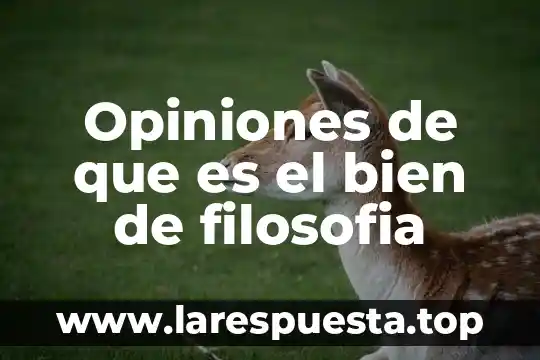 Opiniones de que es el bien de filosofia