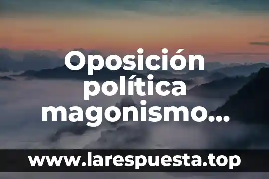 Oposición política magonismo que es
