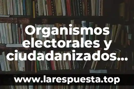 Organismos electorales y ciudadanizados que es
