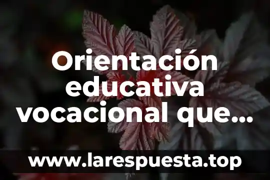 Orientación educativa vocacional que es