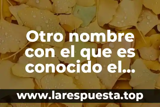 Que es el otro cultural 5 Otro nombre con el que es conocido el eteno