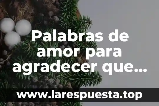 Que es mejor centralizar o descentralizar 6 Palabras de amor para agradecer que es el mejor papá