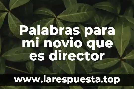 Palabras para mi novio que es director