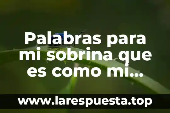 Palabras para mi sobrina que es como mi hija