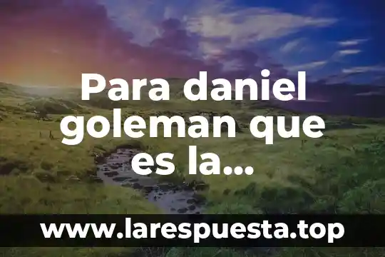 Que es la inteligencia de procesos 5 Para daniel goleman que es la inteligencia social