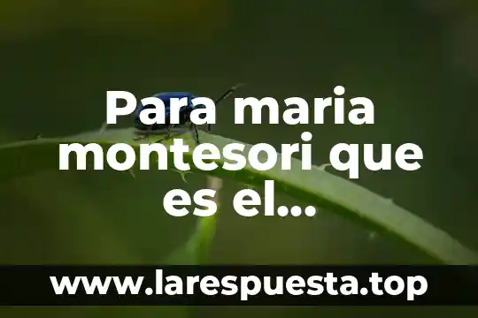 Que es conocimiento de nombres que es 6 Para maria montesori que es el conocimiento