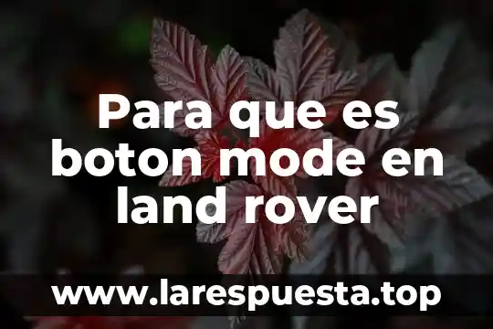 Que es un boton o button en informatica 5 Para que es boton mode en land rover