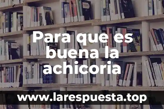 Para que es buena la cebolla en escabeche 5 Para que es buena la achicoria