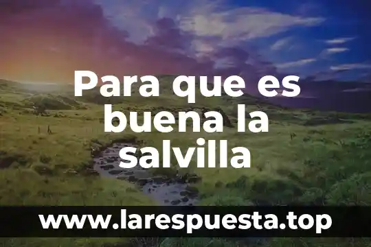 Para que es buena la cebolla en escabeche 7 Para que es buena la salvilla
