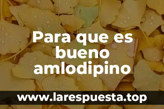 Para que es bueno el agua de hamamelis 3 Para que es bueno amlodipino