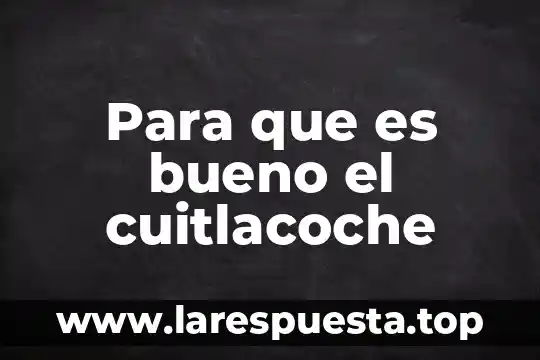 Que es bueno o malo cuando andas suelto 3 Para que es bueno el cuitlacoche