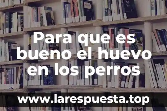 Que es un huevo retenido 4 Para que es bueno el huevo en los perros
