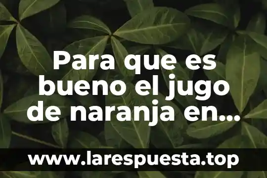 Para que es bueno el jengibre en ayunas 8 Para que es bueno el jugo de naranja en ayunas