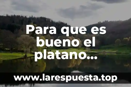 Para que es bueno el platano dominico