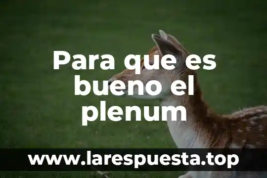 Que es bueno para quitar los barros 8 Para que es bueno el plenum