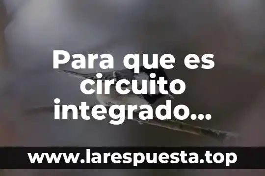 Integrado 7432 que es 4 Para que es circuito integrado cd2003gp