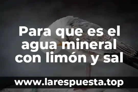 Para que es el agua mineral con limón y sal