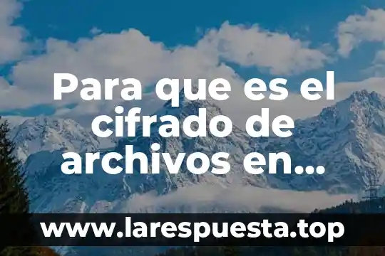 Que es un archivos de microsoft office 5 Para que es el cifrado de archivos en windows