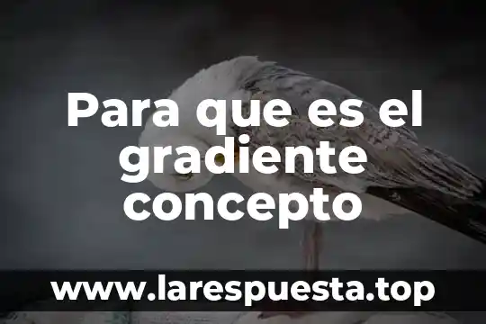 Concepto que es bioticos 7 Para que es el gradiente concepto