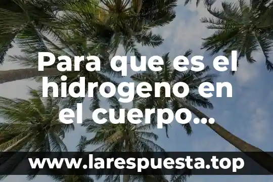 Goethe que es el humano 5 Para que es el hidrogeno en el cuerpo humano