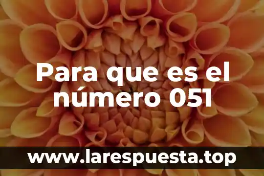 Para que es el número 051