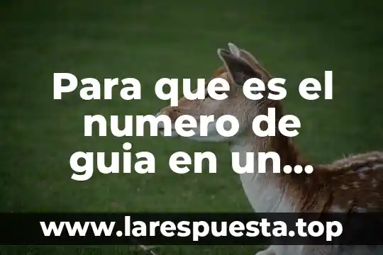Para que es el numero de guia en un envio