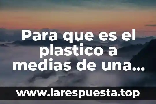 Para que es el plastico a medias de una regla