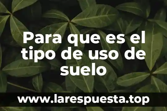 Para que es el tipo de uso de suelo
