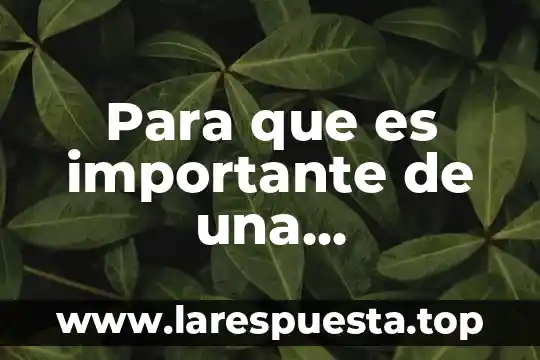 Para que es importante de una comprensión lectora