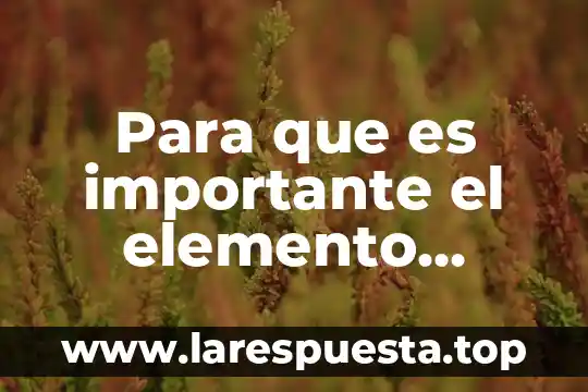 Qué es un elemento de conducción 7 Para que es importante el elemento químico níquel