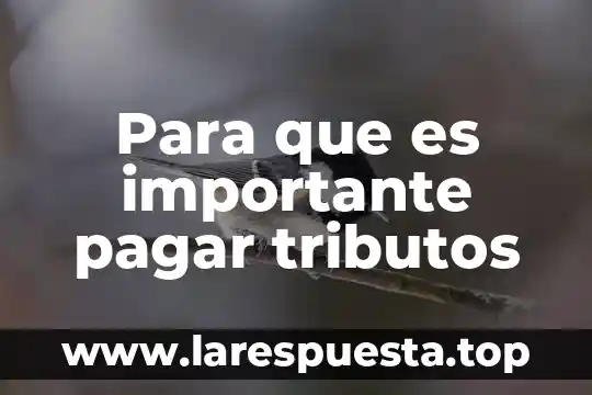 Por que es importante saber planificar una clase 3 Para que es importante pagar tributos