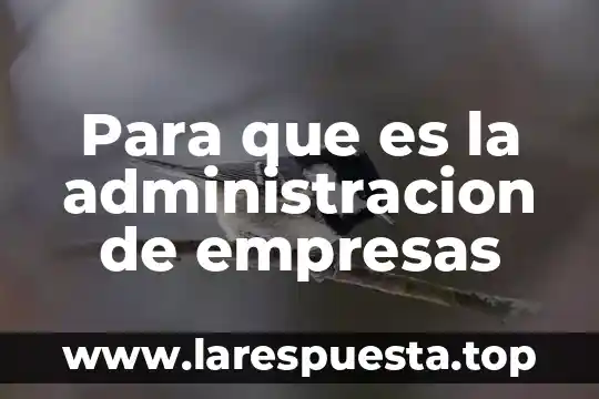 Para que es la administracion de empresas