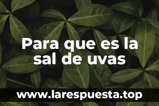 Que es el pacto de sal en la Biblia 8 Para que es la sal de uvas