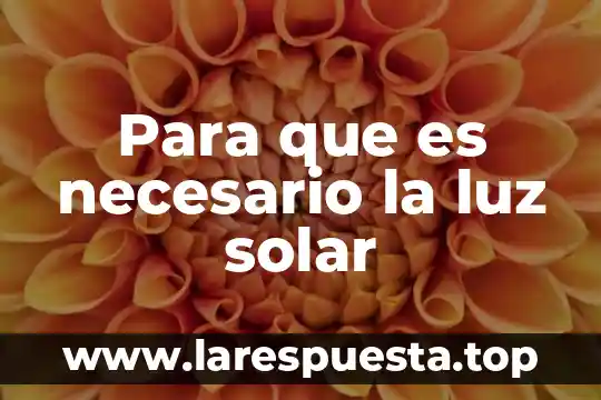 Para que es necesario la luz solar