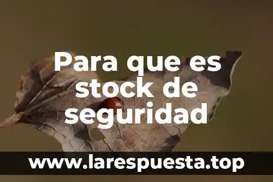 Para que es stock de seguridad
