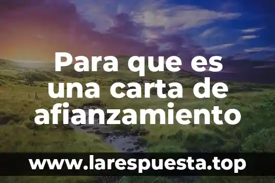 Qué es una carta oferta y sus 8 Para que es una carta de afianzamiento