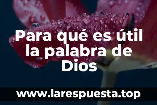 Que es tramstrunsasion de la palabra de dios 4 Para qué es útil la palabra de Dios